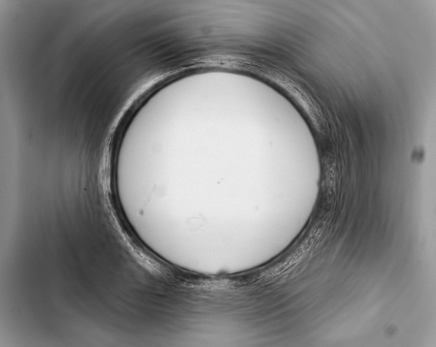 X0000103491131200810031559