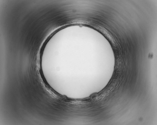 X0000103491132200810031559