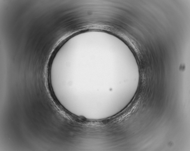 X0000103491133200810031559