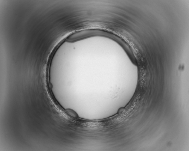 X0000103491134200810031559