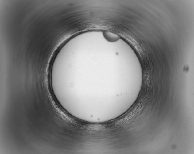 X0000103491135200810031559