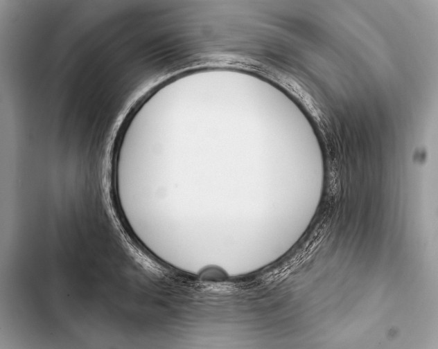 X0000103491136200810031559