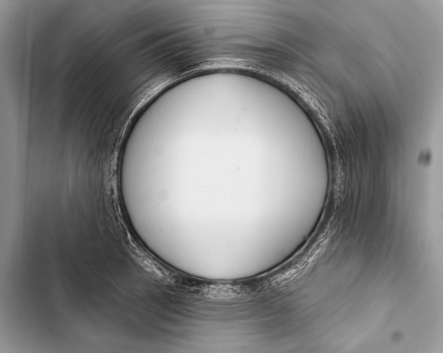 X0000103491137200810031559