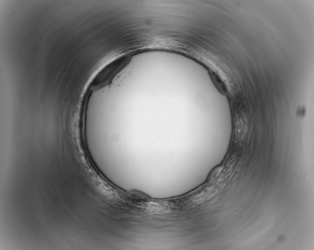 X0000103491138200810031559