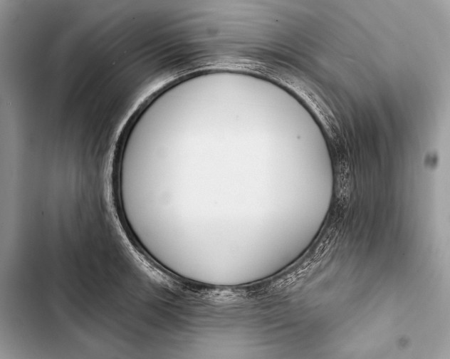 X0000103491139200810031559