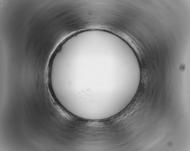 X0000103491140200810031559