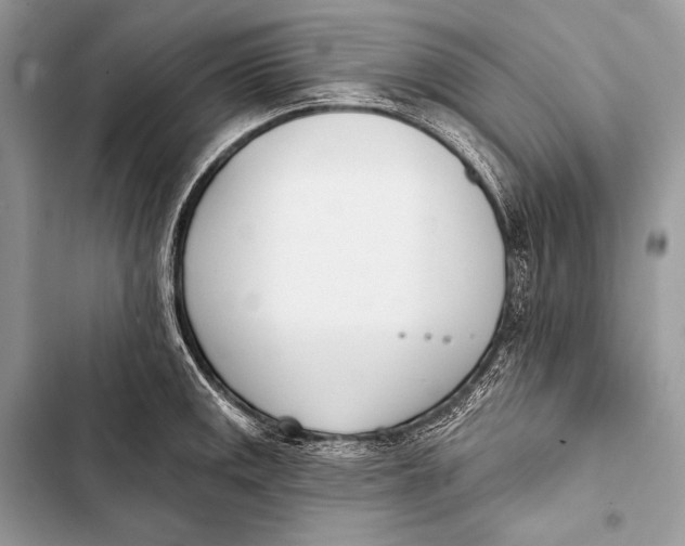 X0000103491141200810031600