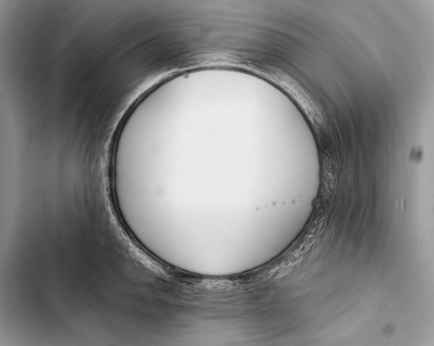 X0000103491142200810031600