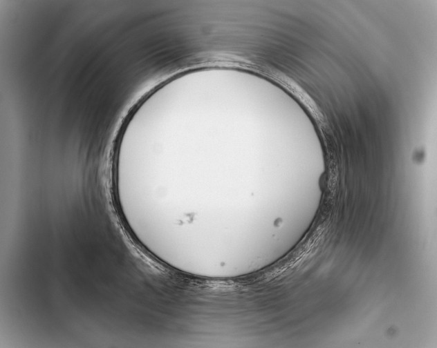 X0000103491144200810031600