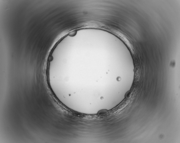 X0000103491146200810031600