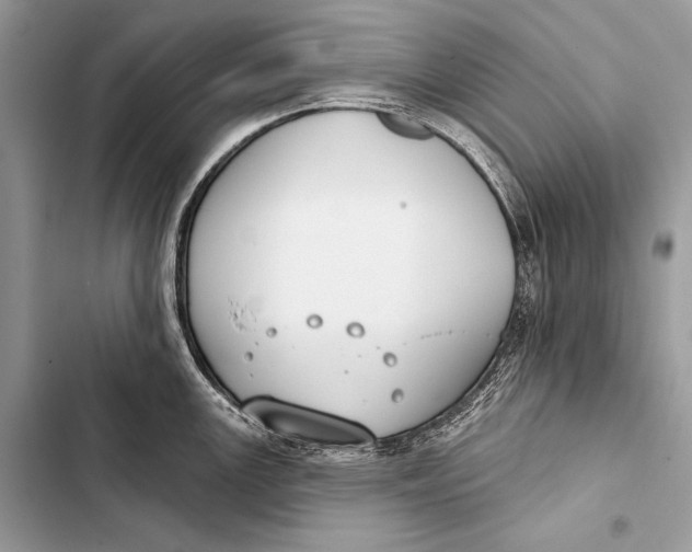 X0000103491147200810031600