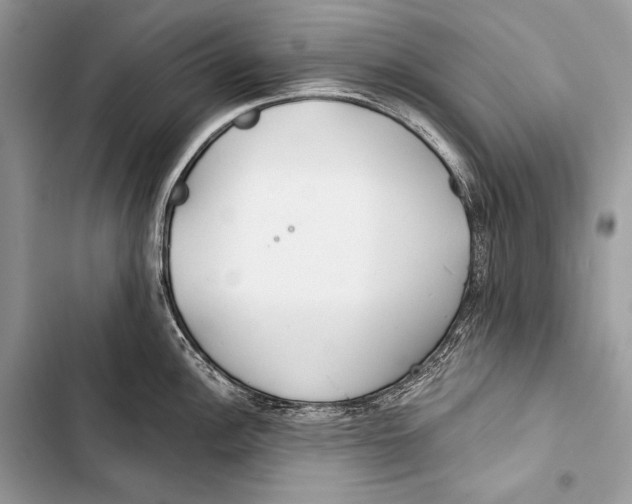 X0000103491148200810031600