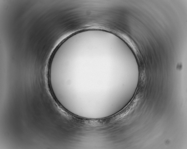 X0000103491149200810031600