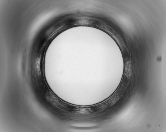 X0000103491150200810031600