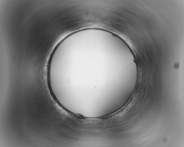 X0000103491151200810031600