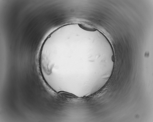 X0000103491152200810031600