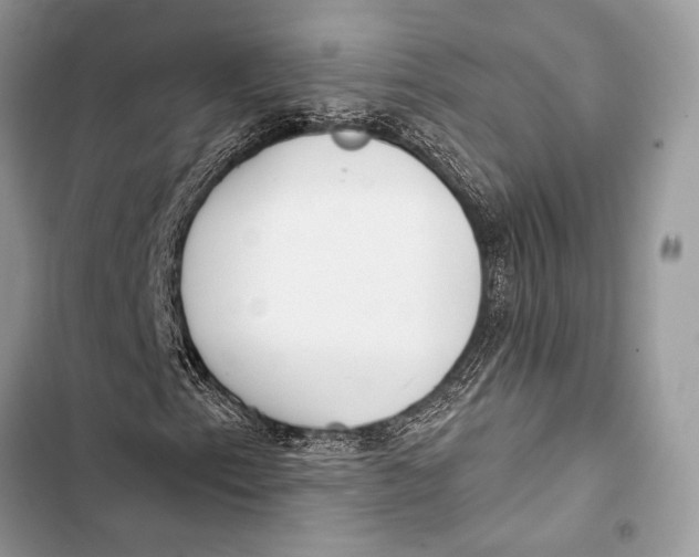 X0000103491153200810031559