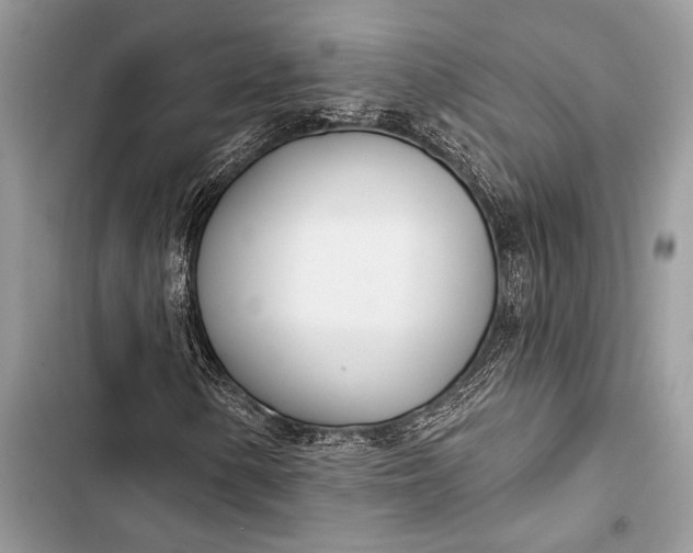 X0000103491154200810031559