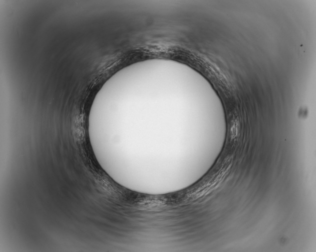 X0000103491156200810031559