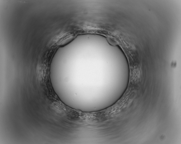 X0000103491157200810031559