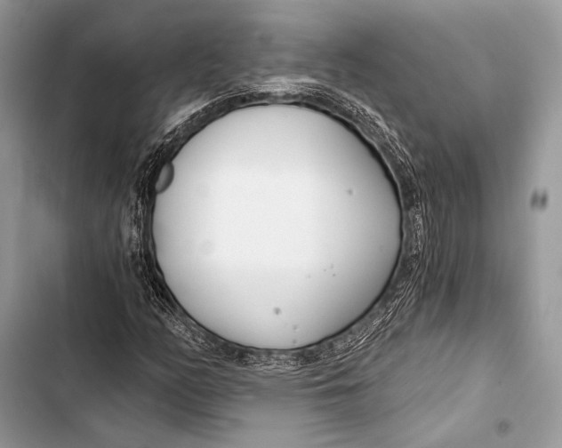 X0000103491158200810031559