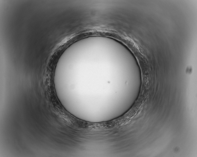 X0000103491159200810031559