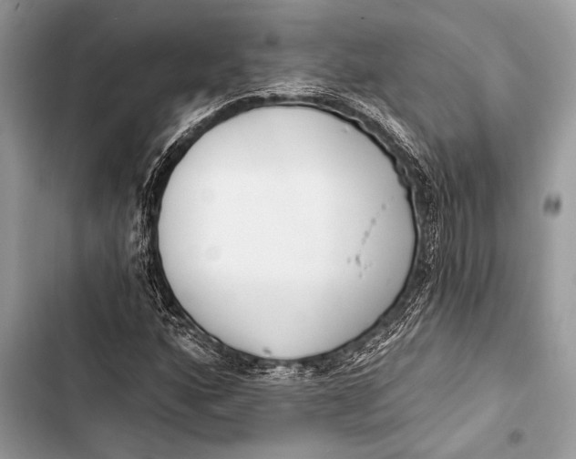 X0000103491160200810031559