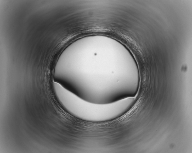 X0000103491161200810031559