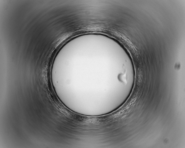 X0000103491162200810031559