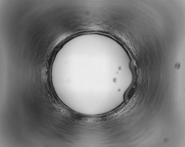 X0000103491163200810031559