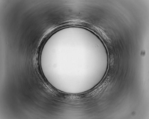 X0000103491164200810031559