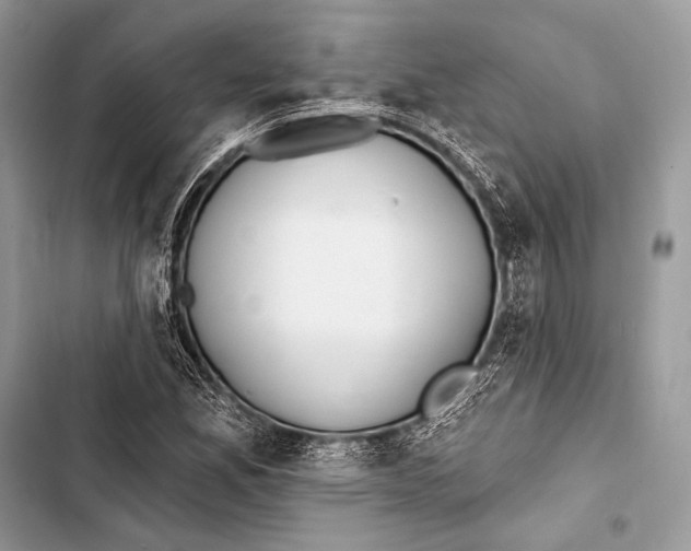 X0000103491165200810031559