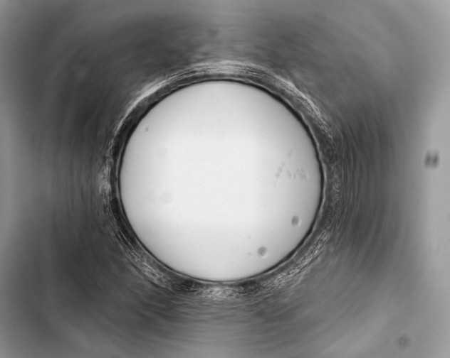 X0000103491166200810031559