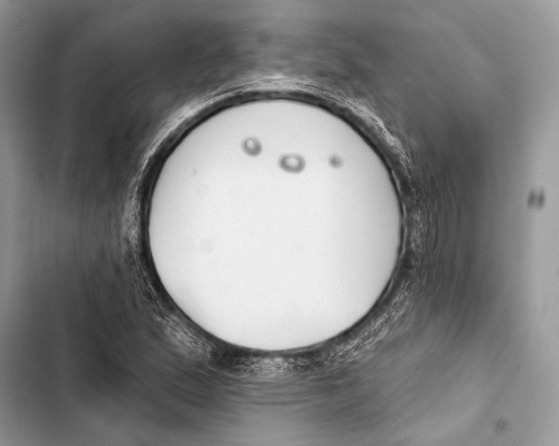 X0000103491167200810031559