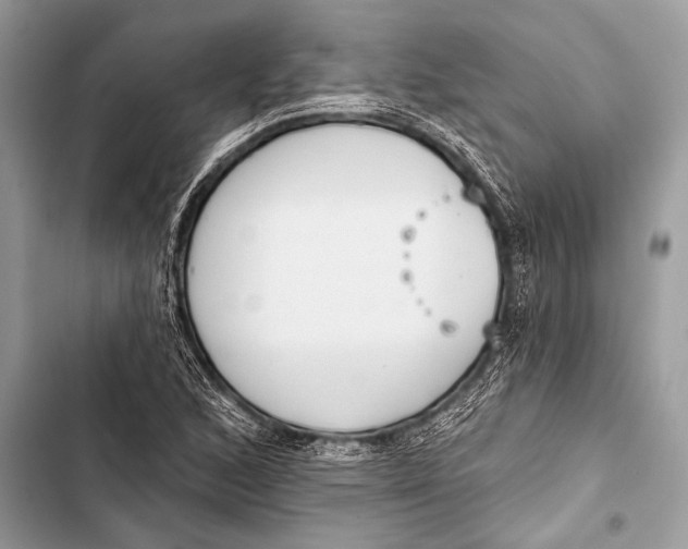 X0000103491168200810031559