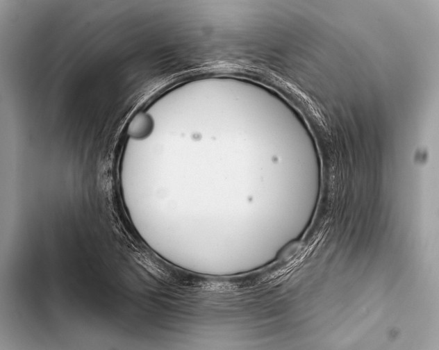 X0000103491170200810031559