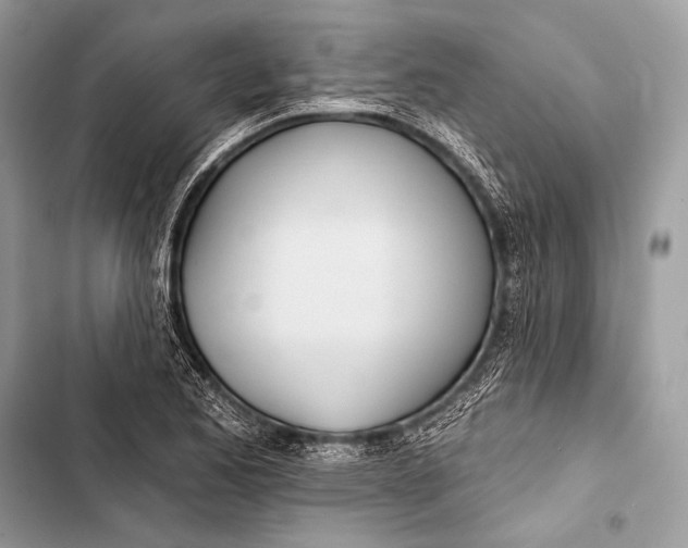 X0000103491173200810031559