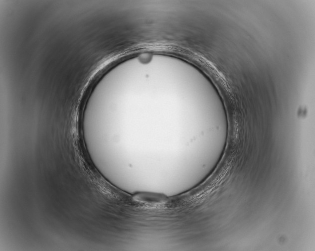 X0000103491174200810031559