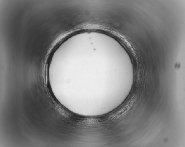 X0000103491175200810031559