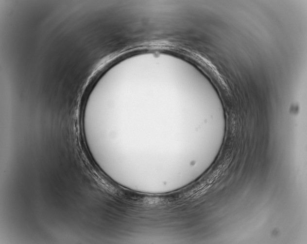 X0000103491176200810031559