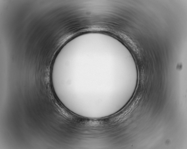 X0000103491177200810031559