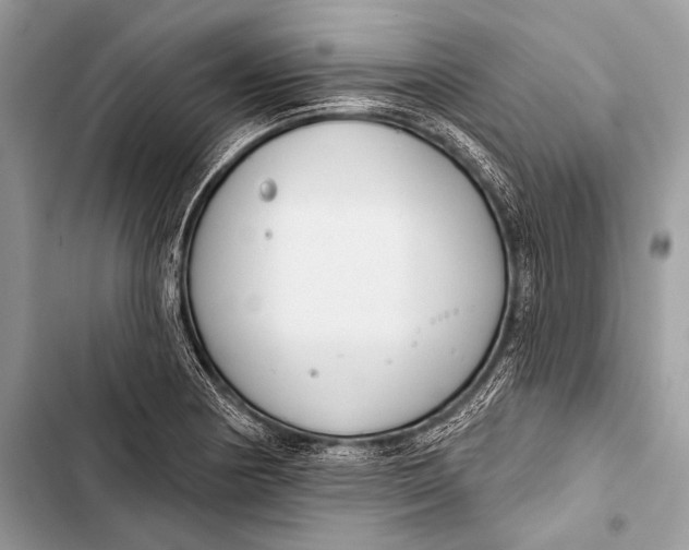 X0000103491178200810031559