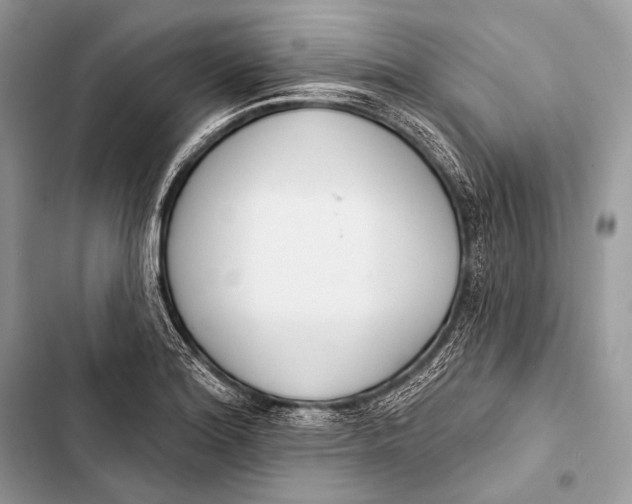 X0000103491180200810031559