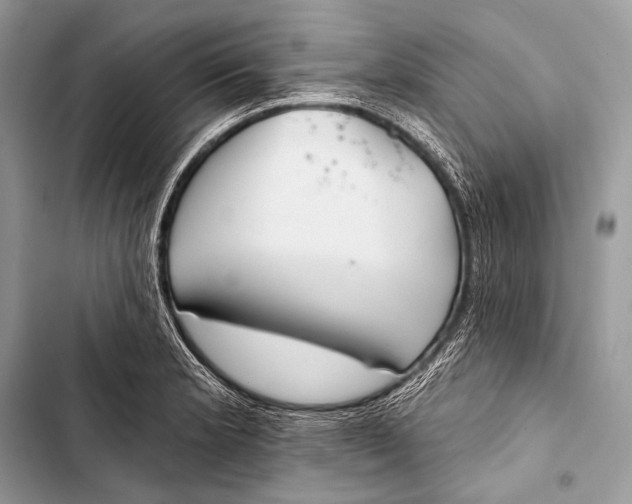 X0000103491181200810031559