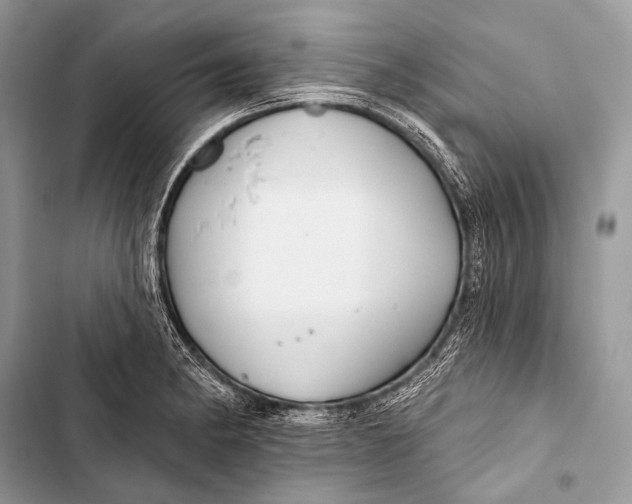 X0000103491182200810031559