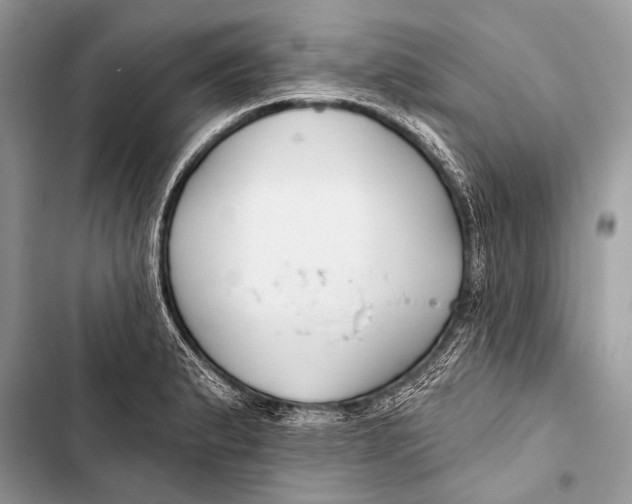 X0000103491183200810031559