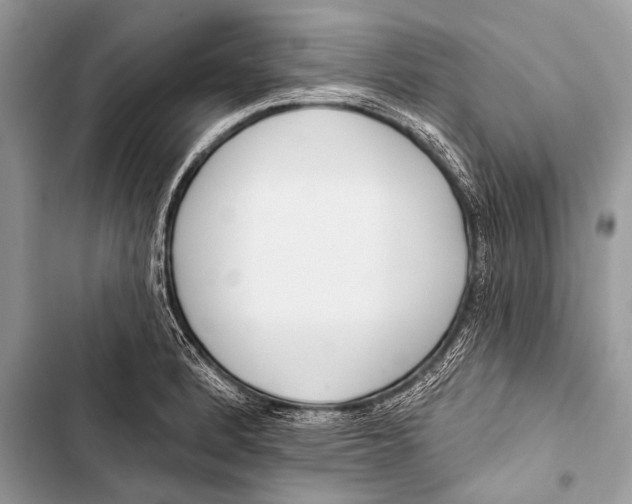 X0000103491184200810031559