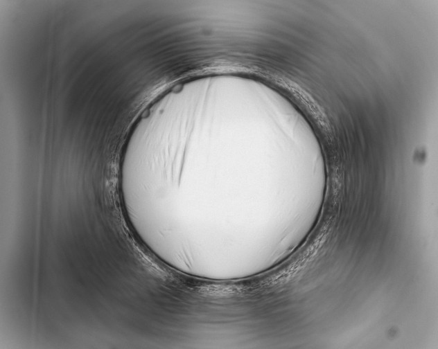 X0000103491185200810031559