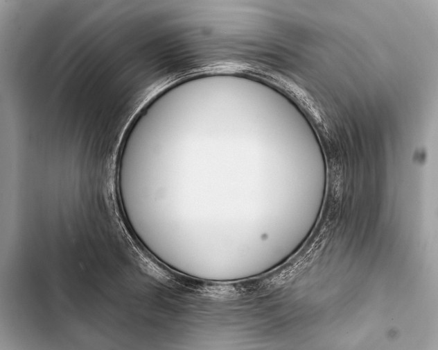 X0000103491186200810031559