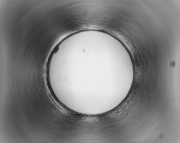 X0000103491187200810031559